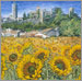 Sunflower Fields near Pals, Spain